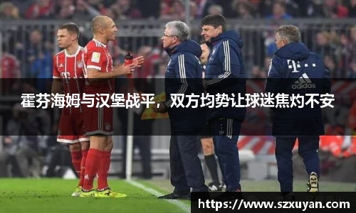 霍芬海姆与汉堡战平，双方均势让球迷焦灼不安